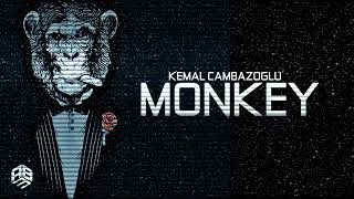 Download lagu Techno monkey banana mp3