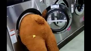 Download lagu NYUCI BONEKA SEGEDE KINGKONG ,MESIN CUCINYA GAK MUAT story wa kocak mp3