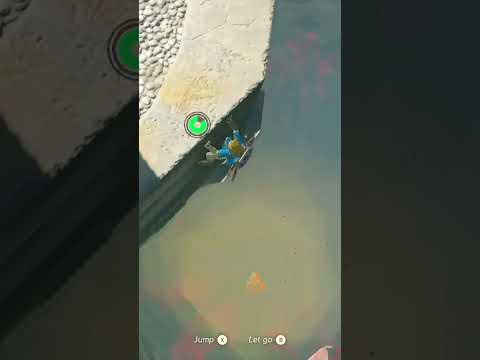 This Zelda Moment Will Leave You Speechless!  #TOTK