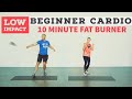 10 Minute LOW IMPACT Fun Cardio Workout No Equipment