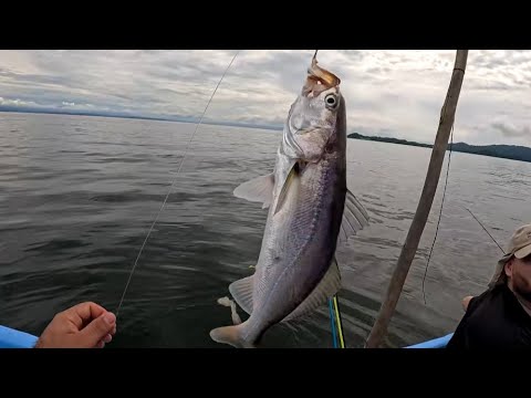 Increíble pesca de Curvinas con amigos en Puntarenas 