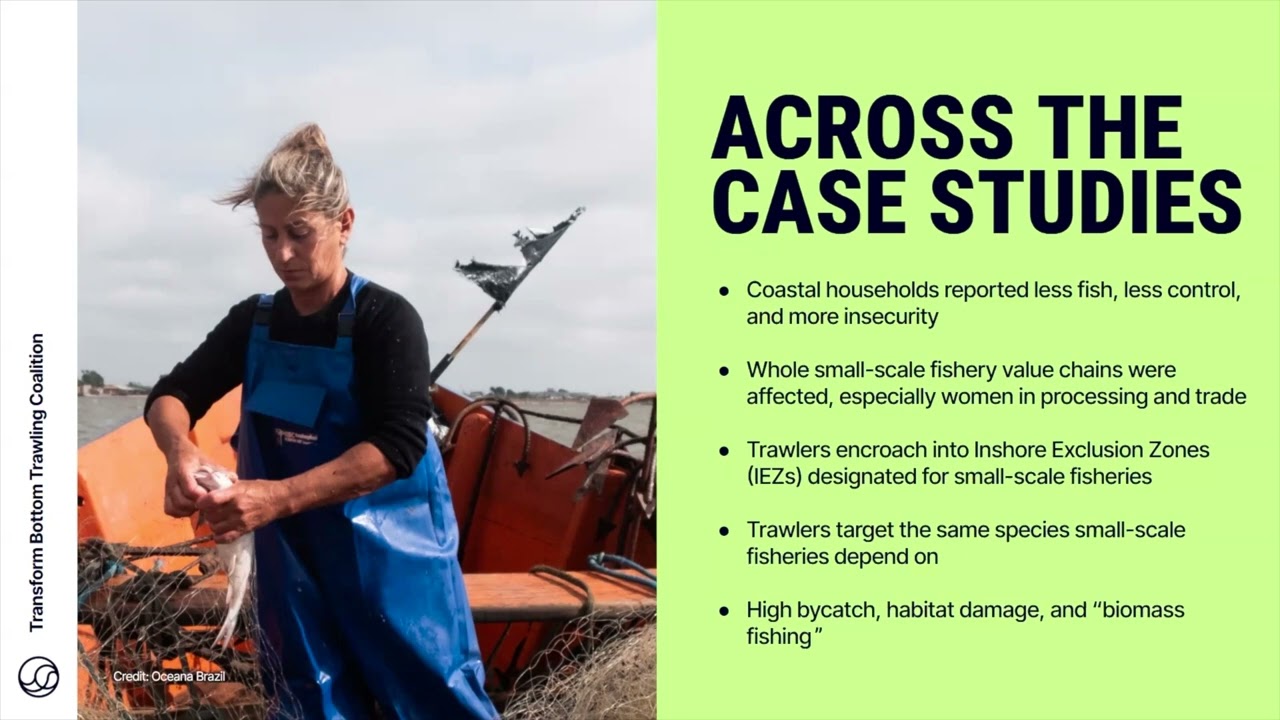New Research: The Impact of Bottom Trawling on Food Security
