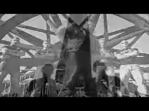 ALKAN  Sezgin AG  Kopf oder Zahl