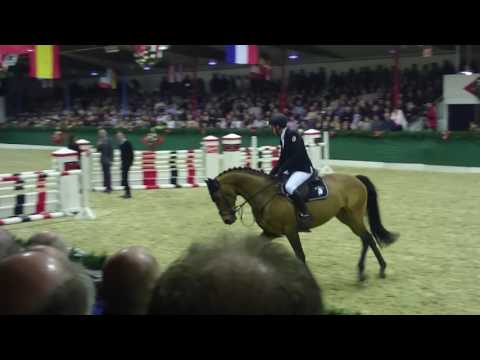 DSP Araldik Hengstschau 2017