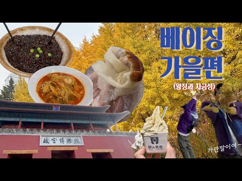 투영인촤이나🇨🇳ep.11 | 베이징 가을편 (feat. 왕징&자금성 그리고 에겐남)