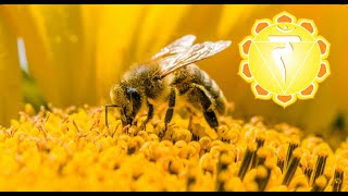 Bees by Animal Collective