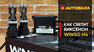 Winso H4 bi-xenon 5000K 35W KET 744500 - відео 1