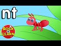 NT Ending Blend Sound | NT Blend Song and Practice | ABC Phonics Song with Sounds for Children