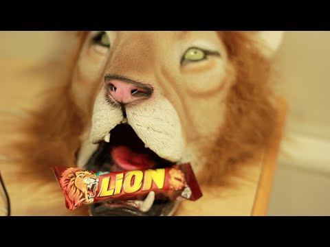 Never Say No To Lion (Panda Cheese parody)