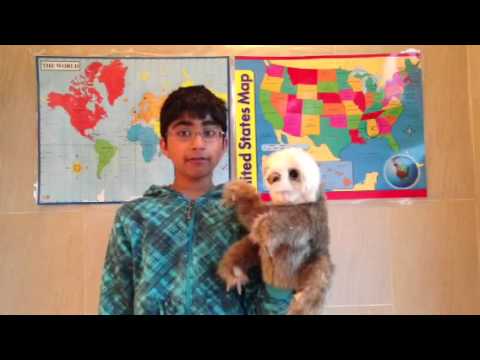 Afghan translators, Swedish unrest, mystery illness, man ki