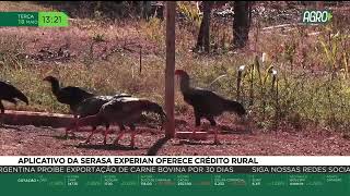 Miniatura do vídeo