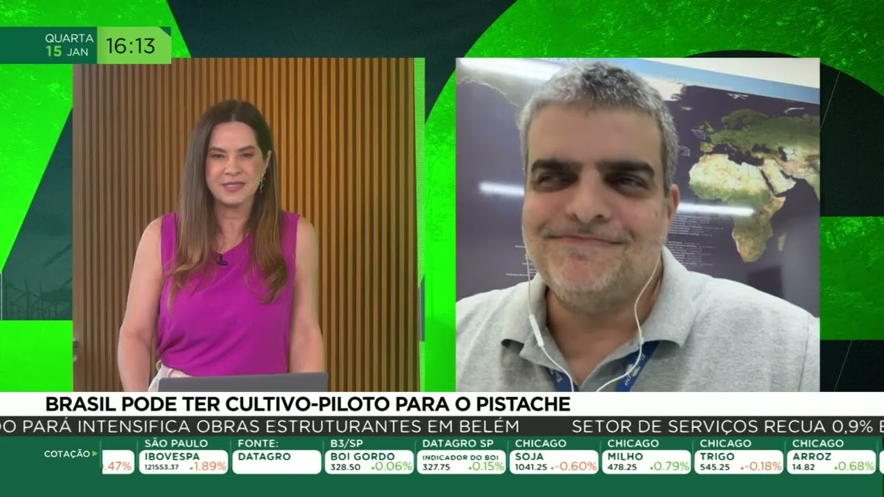Brasil pode ter cultivo-piloto para o pistache