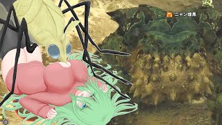 【MHWilds】煌黒共の初見狩猟記【VSチャタカブラ】