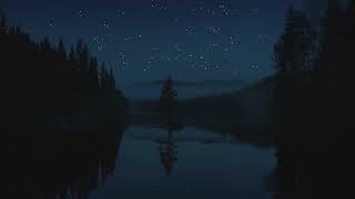 Download lagu Bon Iver & St. Vincent - Roslyn ( Instrumental Slowed Reverb Night Forest Ambience ) mp3 Download lagu Bon Iver & St. Vincent - Roslyn ( Instrumental Slowed Reverb Night Forest Ambience ) mp3