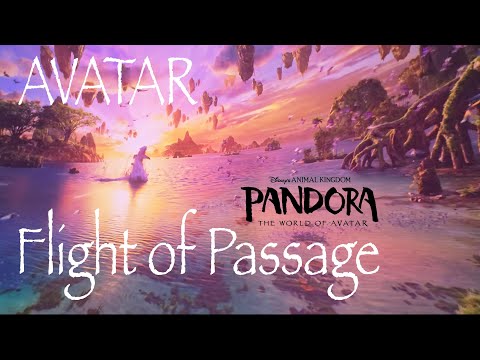 Avatar Flight of Passage - Disney's Animal Kingdom - Full Ride POV - 2025 - 4K