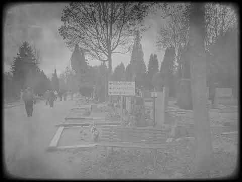 Visit to the grave of Kurt Knispel.