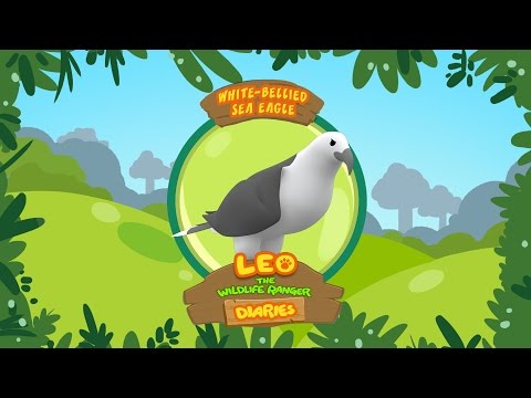 Witness21  2018 11 09