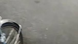 スマホ撮影アップテスト&安否確認（笑）
