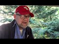 Life on the Magic Mountain: „Herr Albin“
