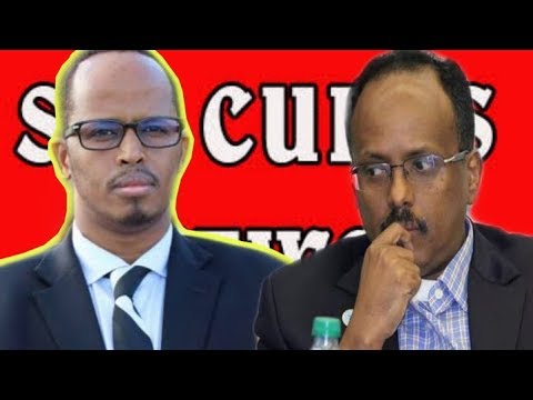 DAAWO Thabit Abdi oo ka hadlay cida isku dirtay asaga Iyo Farmaajo