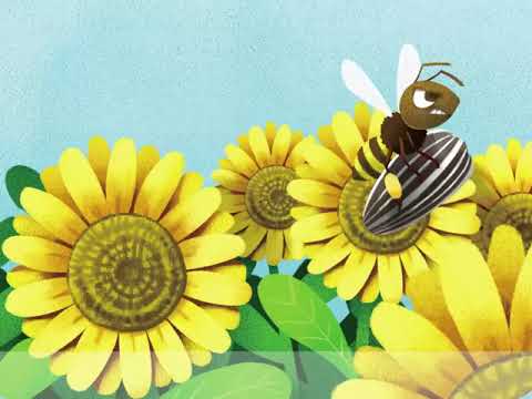 School Phonics 4 Unit 1 Story - ee ea