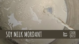 HOW TO USE SOY MILK TO MORDANT TEXTILE FOR NATURAL DYE | ORGANIC COLOR | COTTON LINEN HEMP SILK WOOL