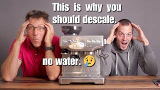 Breville Barista Express Teardown & Scale Declogging!