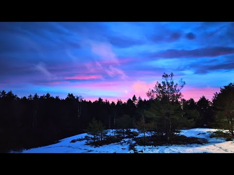 Tiësto - In The Dark (feat. Christian Burns) | with Lyrics