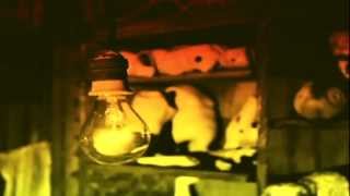 Cate Le Bon - Burn Until The End