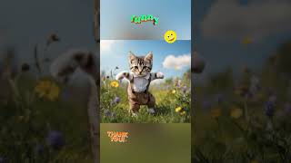 Download lagu Cute Cat funniest broom broom dance 🤣 mp3