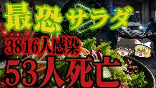 その健康習慣で 3816人感染⁉️最恐の食中毒「2011年ドイツ大腸菌O104:H4集団感染事件」【ゆっくり解説】