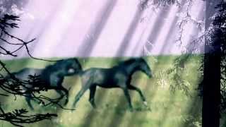 Indochine Belfast Single Extraits