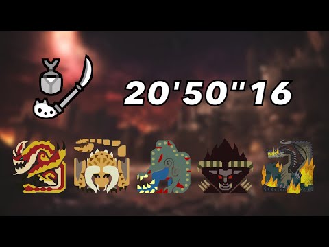 [MH4U] Castle Siege 20'50"16 Insect Glaive (Citra)