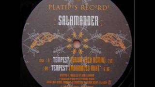 Salamander - Tempest (Union Jack Remix) CLASSIC ACID TRANCE 1995