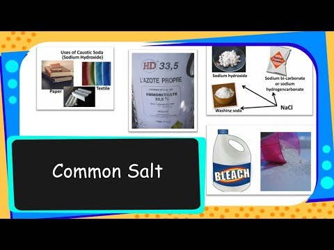 download lagu mp3 mp4 What Are The Main Uses Of Salt, download lagu What Are The Main Uses Of Salt gratis, unduh video klip What Are The Main Uses Of Salt