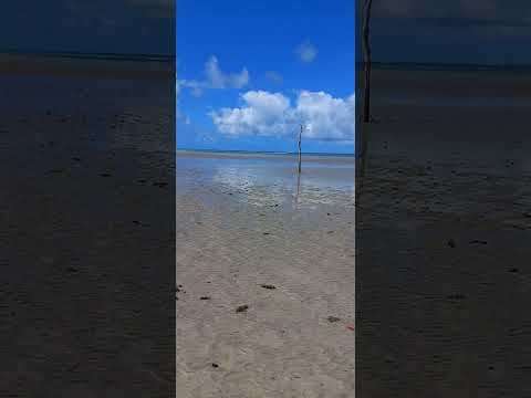 São Miguel dos Milagres- Alagoas
