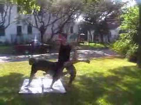 Steve Miller Ju-Jitsu Demo