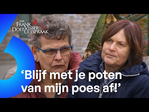 Buurvrouw 'ONTVOERT' poes en 'STEEKT HEM IN PENSION'?! | Mr. Frank Visser doet uitspraak #AFL53