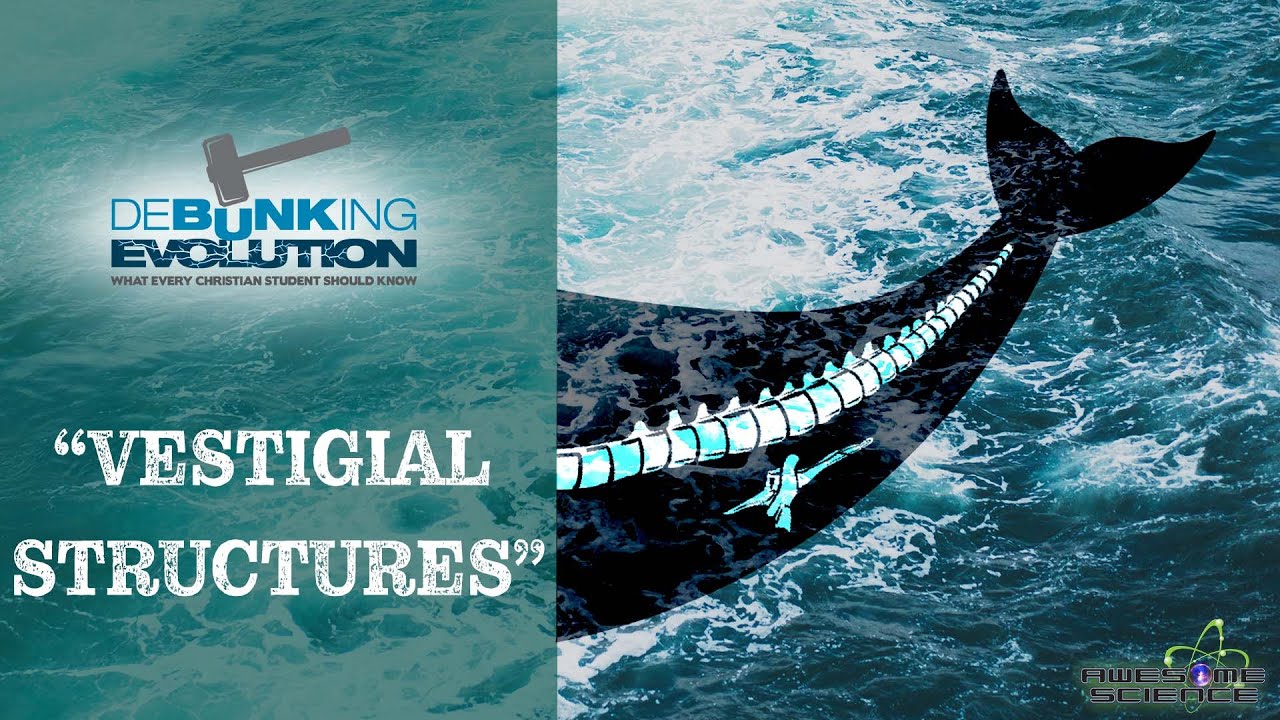 Debunking Evolution Part3 | Debunking Evolution