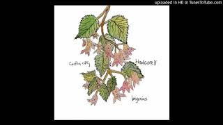 07 - Caitlin Cary & Thad Cockrell -Warm & Tender