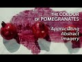 The Colour Of Pomegranates - Appreciating Abstract Imagery