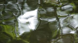 The Jesus And Mary Chain - Dirty Water