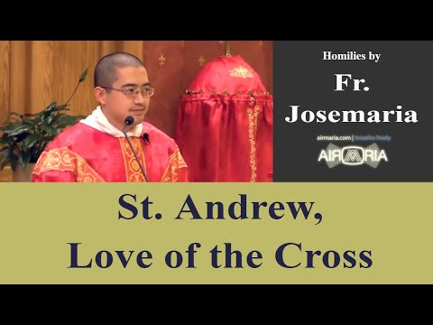 Nov 30 - Homily: St. Andrew - Love of the Cross