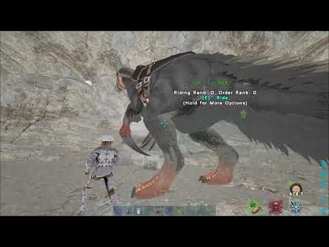 Solo defending Carno Cave
