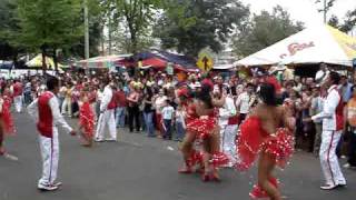 preview picture of video 'Carnaval Xalapa 2009 (1de3)'