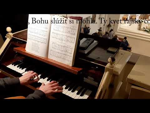 JKS 363 - Panna čistá, Matka Krista