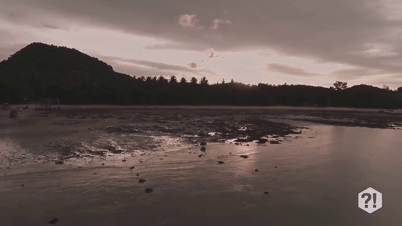 E SE UMA ESTRELA DE ÁGUA SE CHOCASSE COM O SOL