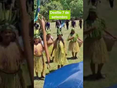 Comunidade indígena de São Paulo de Olivença #amazonas #notícias