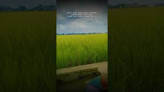 Download lagu story wa 30 detik #jawapride #storywa #storytime #capcut #shorts #shortsvideo mp3