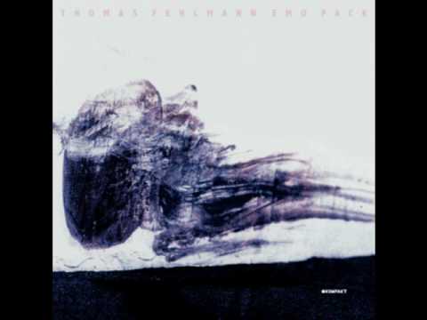 Thomas Fehlmann - The Road